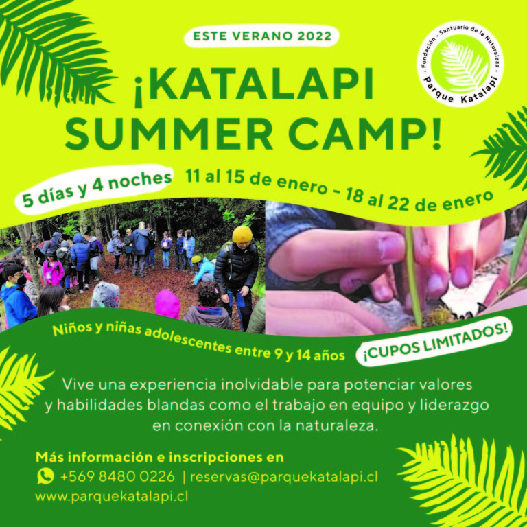 Campamentos De Verano 2022 Para Niños Y Adolescentes En Parque Katalapi